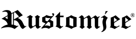 Brick Stone html